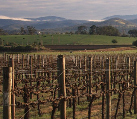 网页攻击器教程